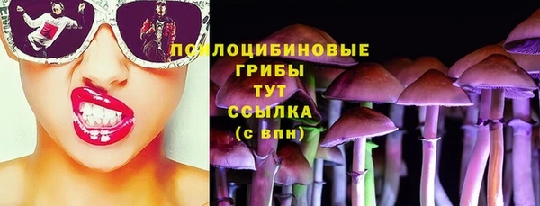 дмт Майский