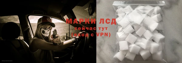 эйфоретик Магас