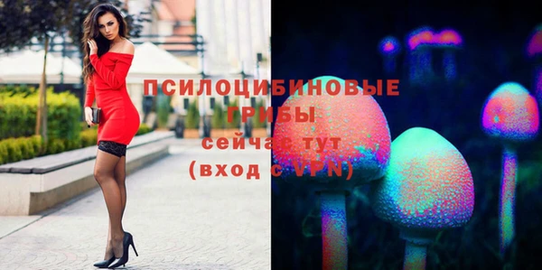 дмт Майский